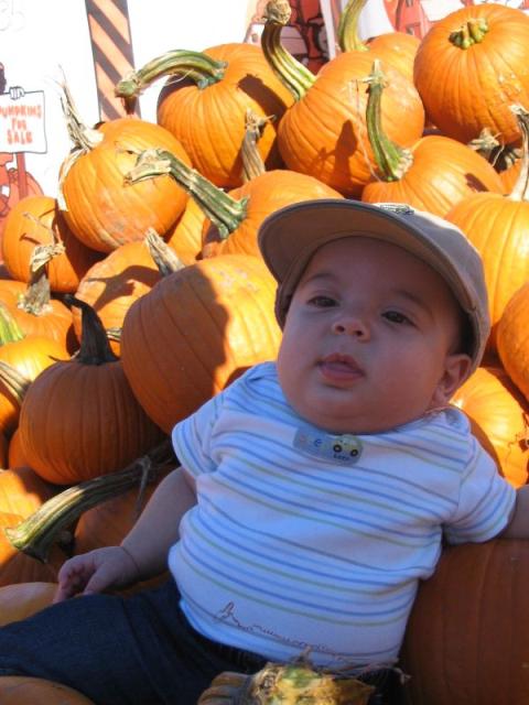 Jeremy hangs on pumpkins.JPG