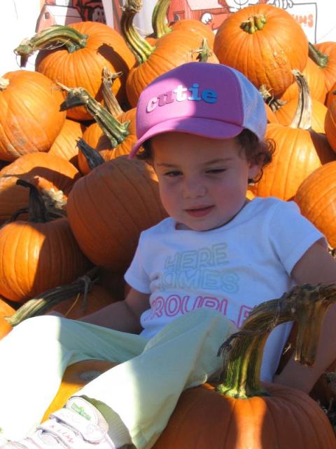 Abby on pumpkins.JPG