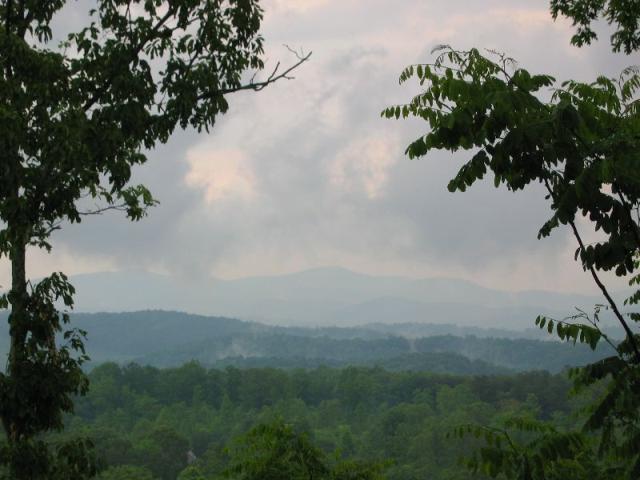 IMG_2424.JPG